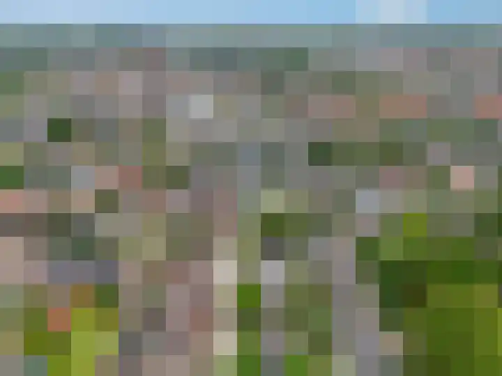 Vendelseweg 2 B Veenendaal thumbnail 29