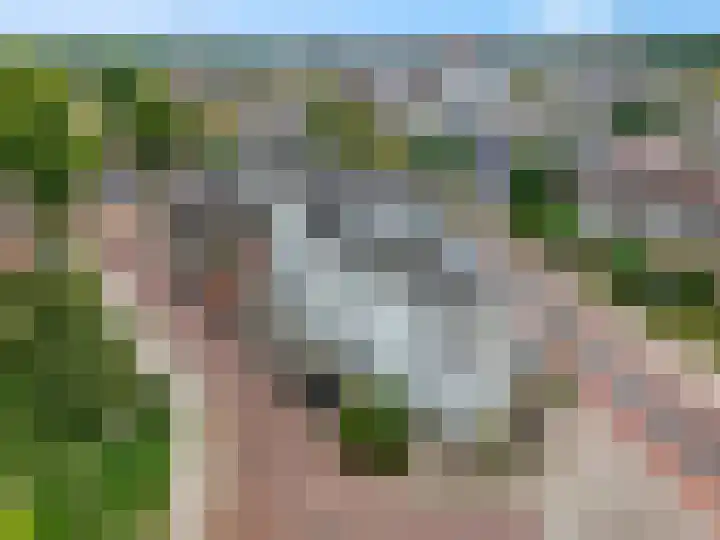 Vendelseweg 2 B Veenendaal thumbnail 4
