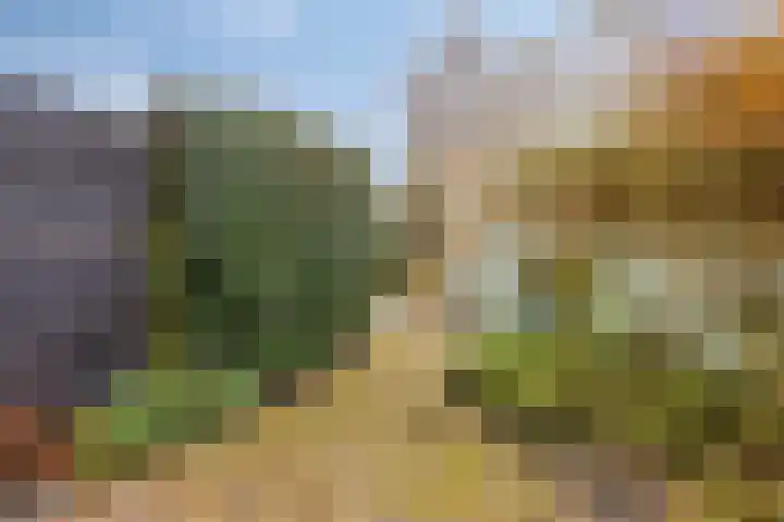 Vendelseweg 21 Veenendaal thumbnail 27