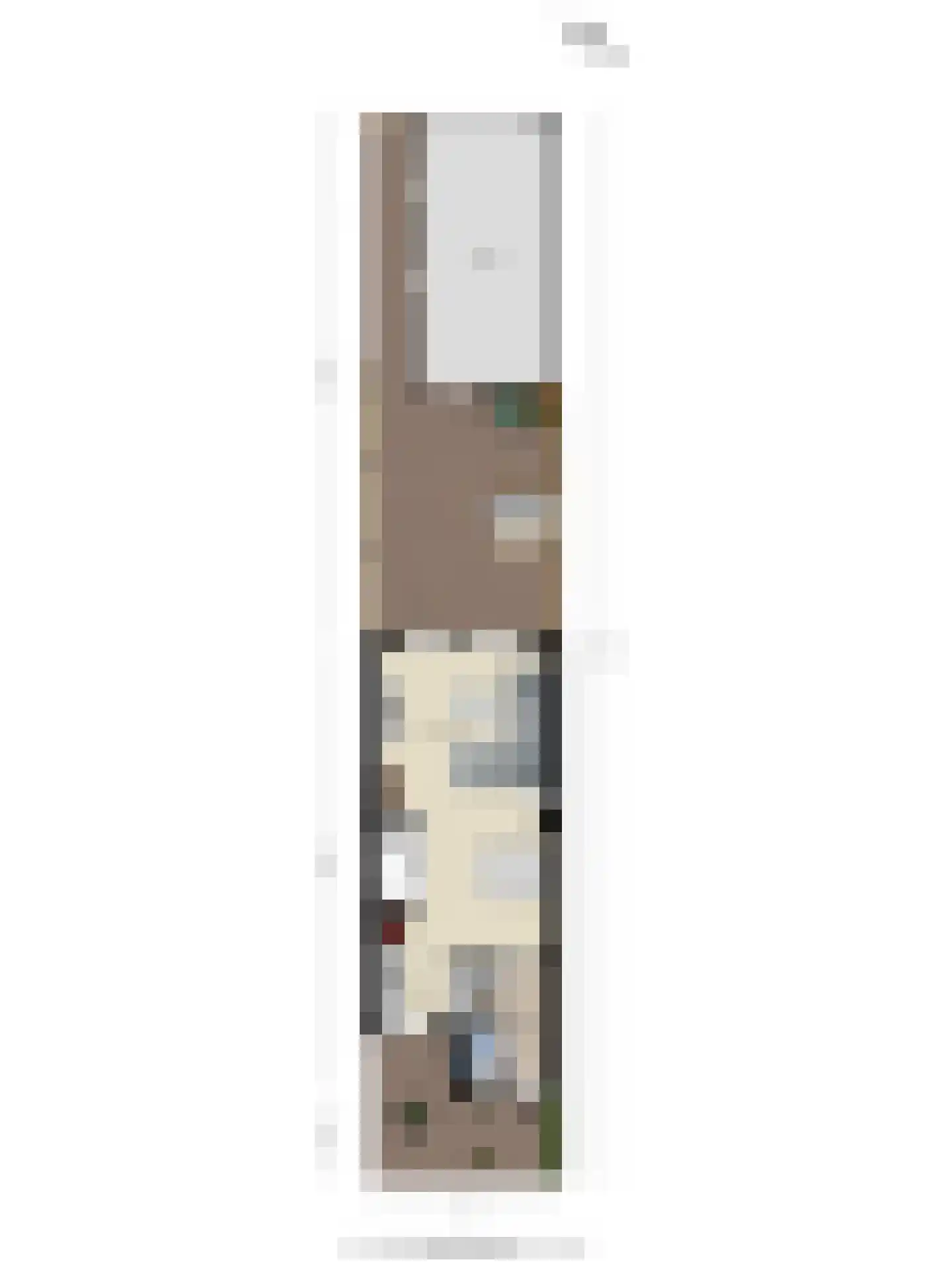 Vendelstraat 14 Waalre thumbnail 42