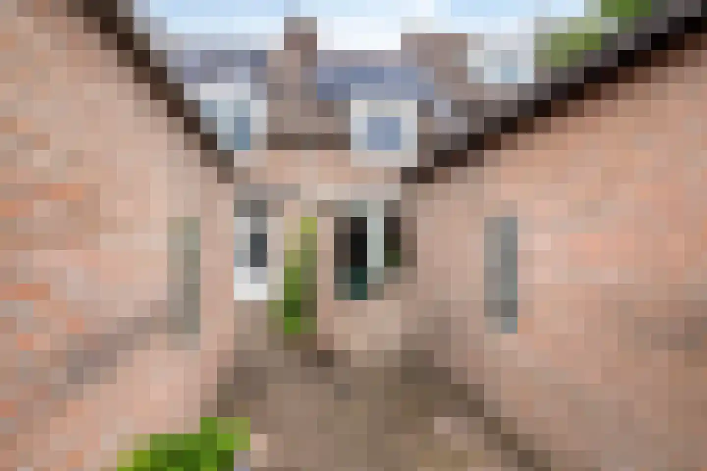 Vendelstraat 16 Waalre thumbnail 8