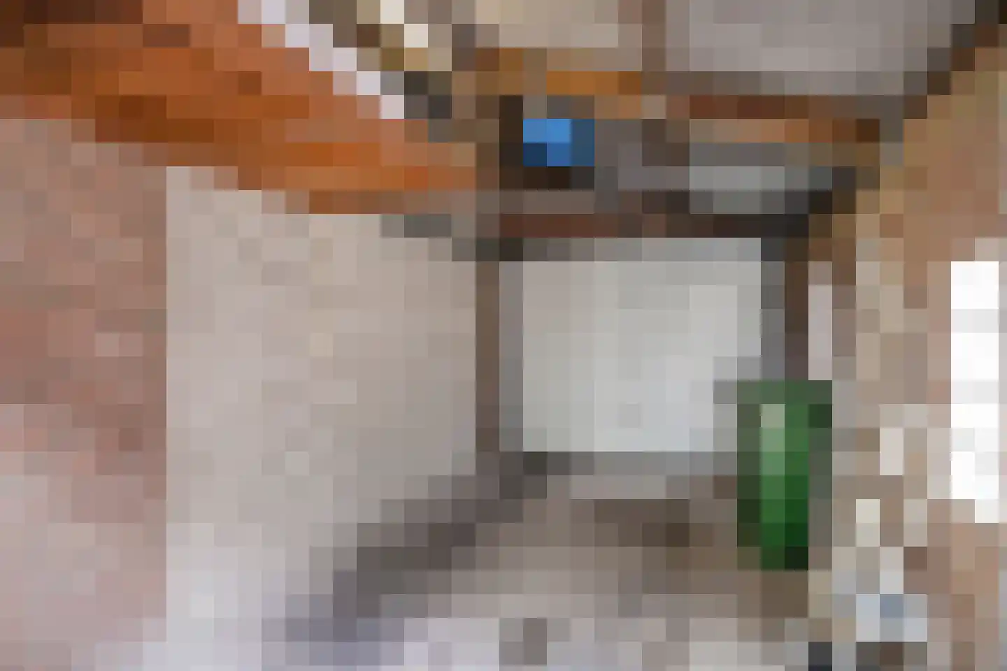 Vendelstraat 16 Waalre thumbnail 9