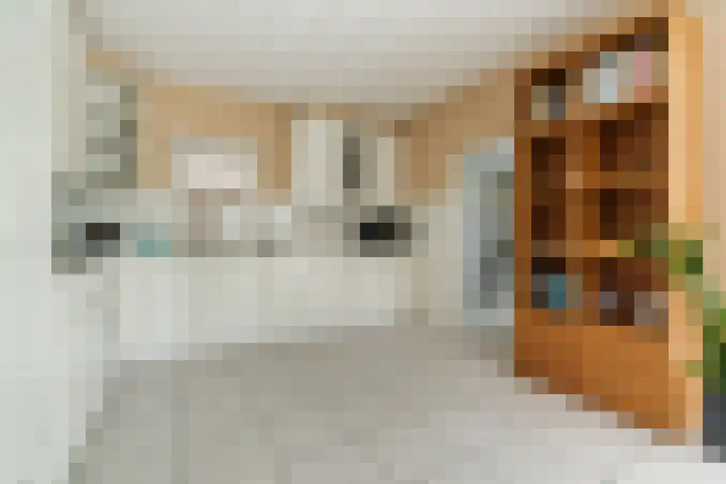 Vendelstraat 17 Liempde thumbnail 15