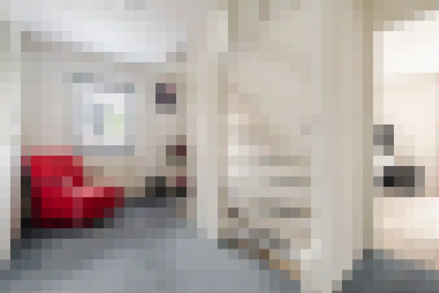 Vendelstraat 17 Liempde thumbnail 19