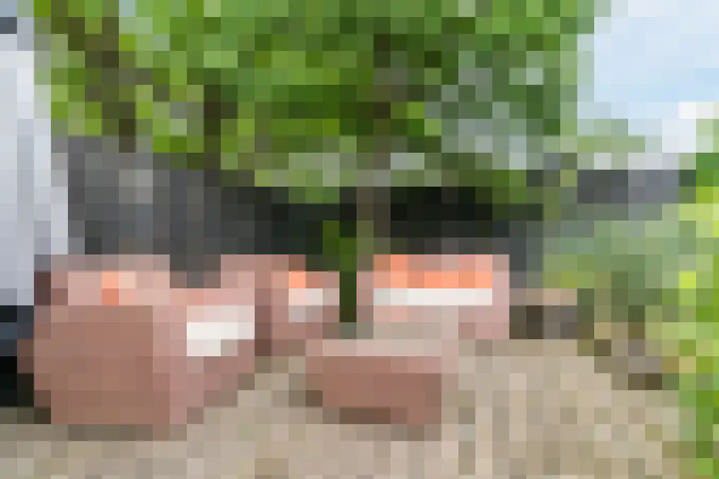 Vendelstraat 17 Liempde thumbnail 41