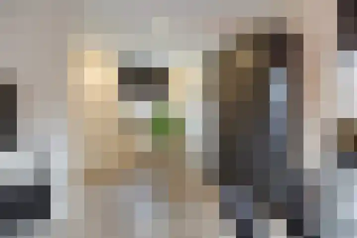 Vendelstraat 23 Heiligerlee thumbnail 16
