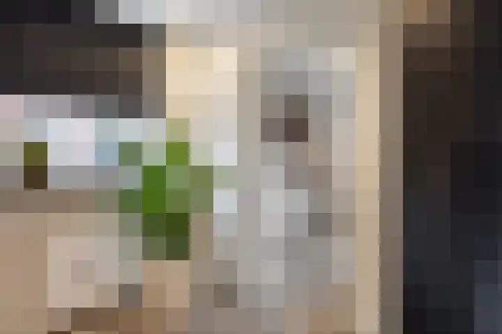 Vendelstraat 23 Heiligerlee thumbnail 17