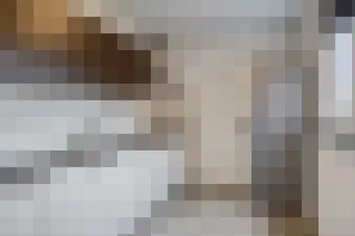 Vendelstraat 23 Heiligerlee thumbnail 18
