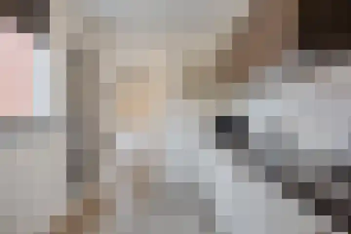 Vendelstraat 23 Heiligerlee thumbnail 19