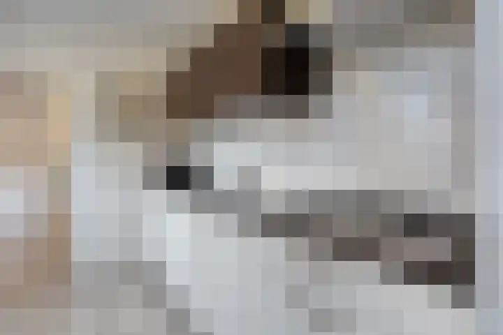 Vendelstraat 23 Heiligerlee thumbnail 20