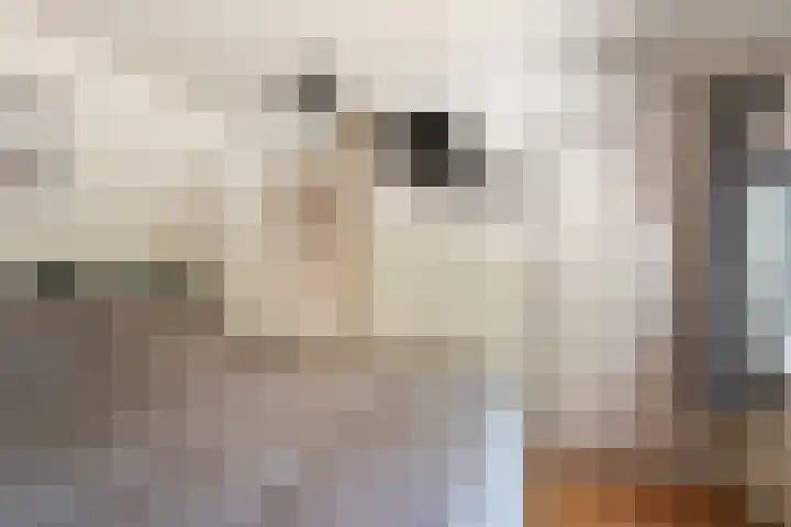 Vendelstraat 3 Heiligerlee thumbnail 19