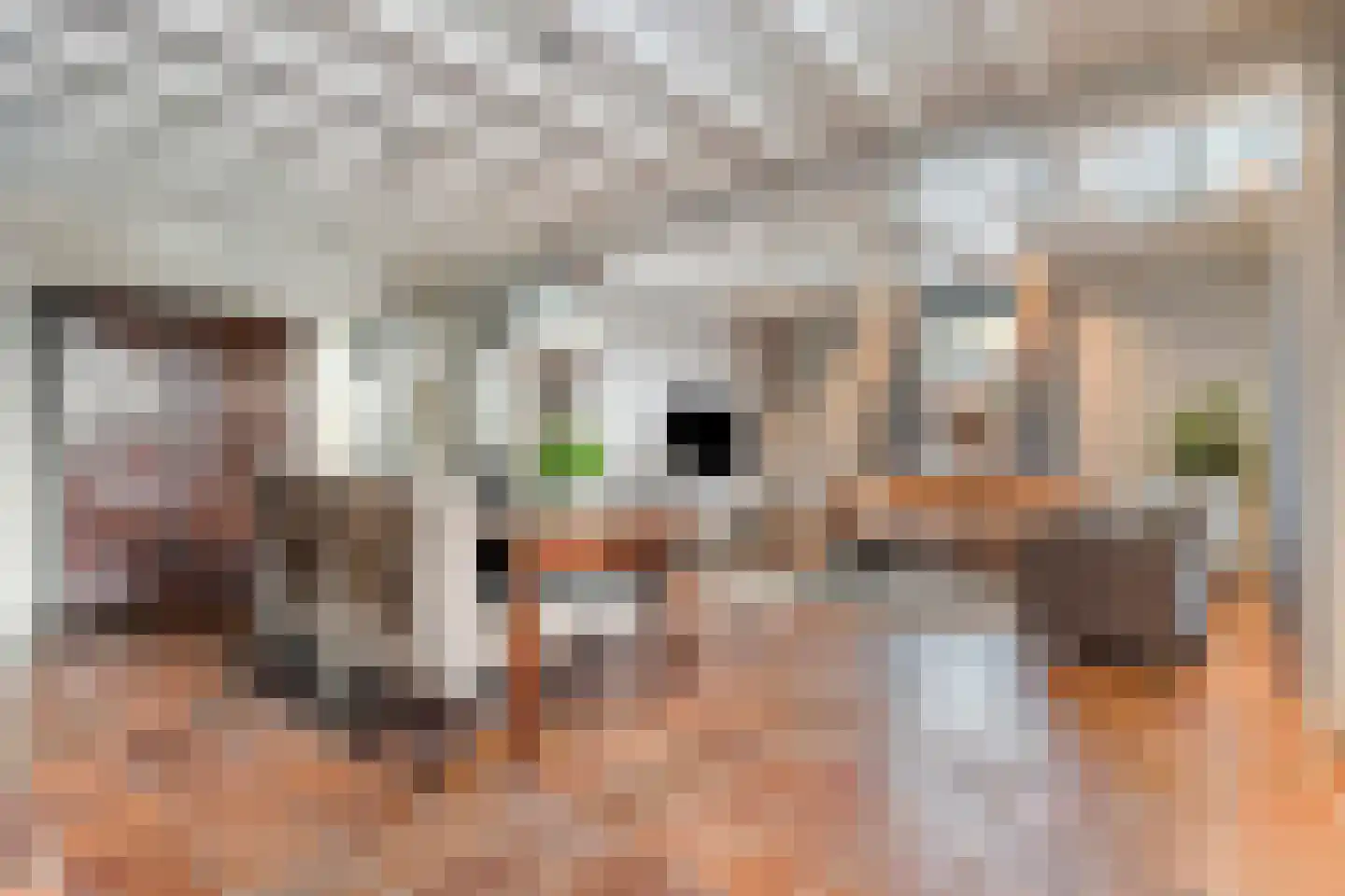 Vendelstraat 35 Liempde thumbnail 14