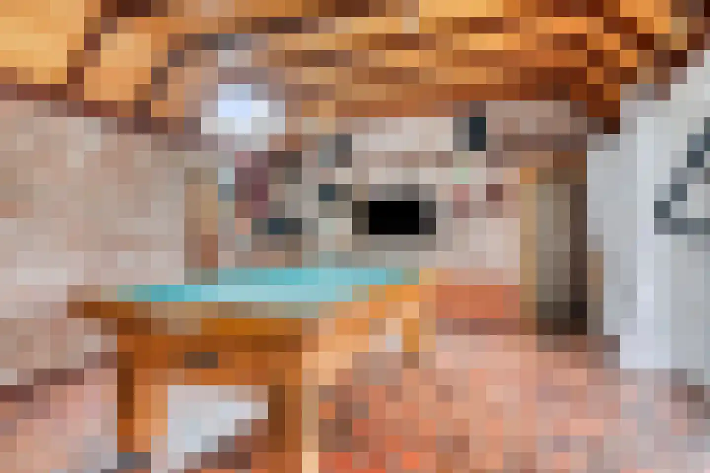 Vendelstraat 35 Liempde thumbnail 38