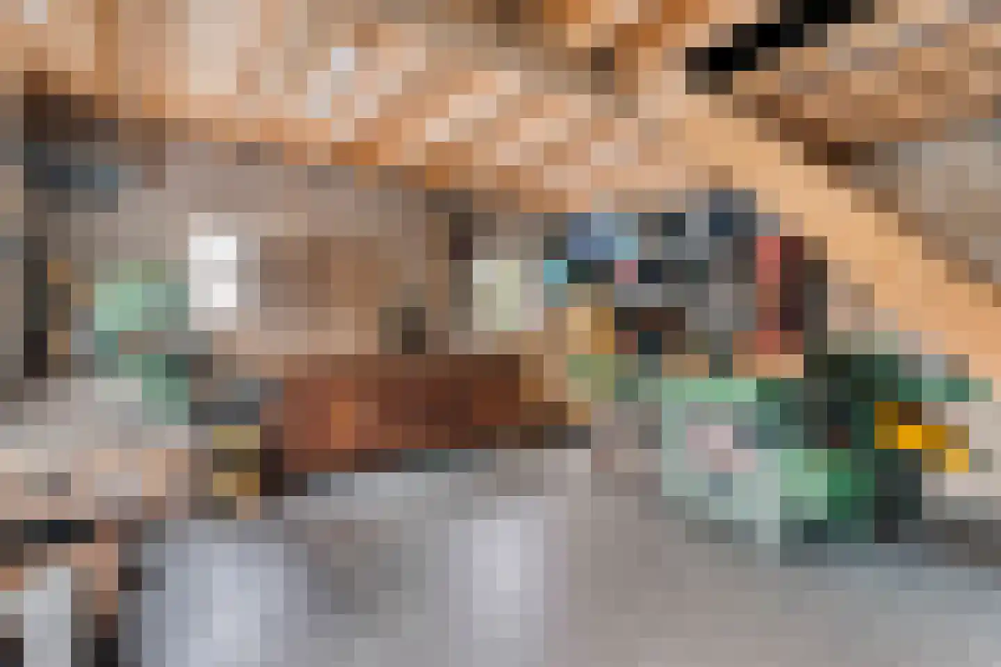 Vendelstraat 35 Liempde thumbnail 41