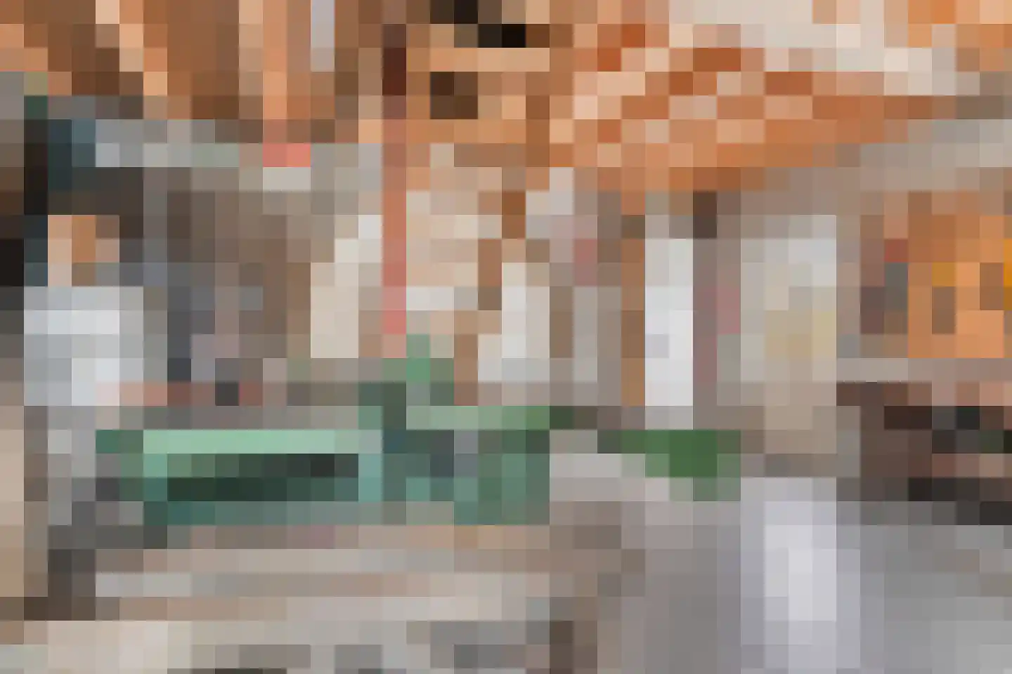 Vendelstraat 35 Liempde thumbnail 42