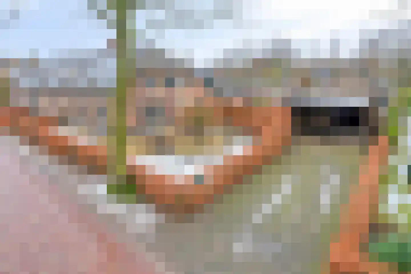 Vendelstraat 35 Liempde thumbnail 44
