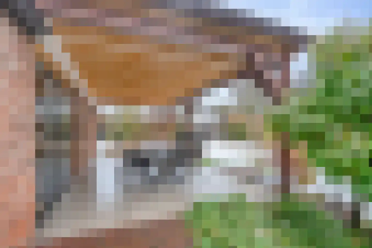 Vendelstraat 35 Liempde thumbnail 52