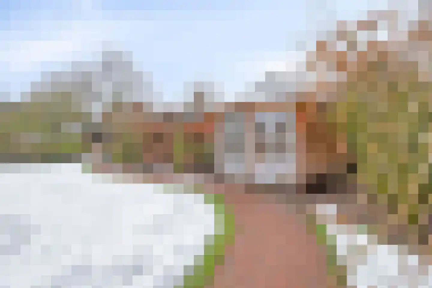 Vendelstraat 35 Liempde thumbnail 56