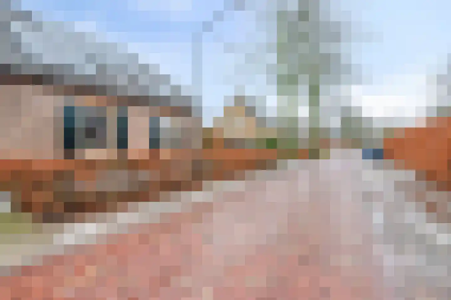 Vendelstraat 35 Liempde thumbnail 8