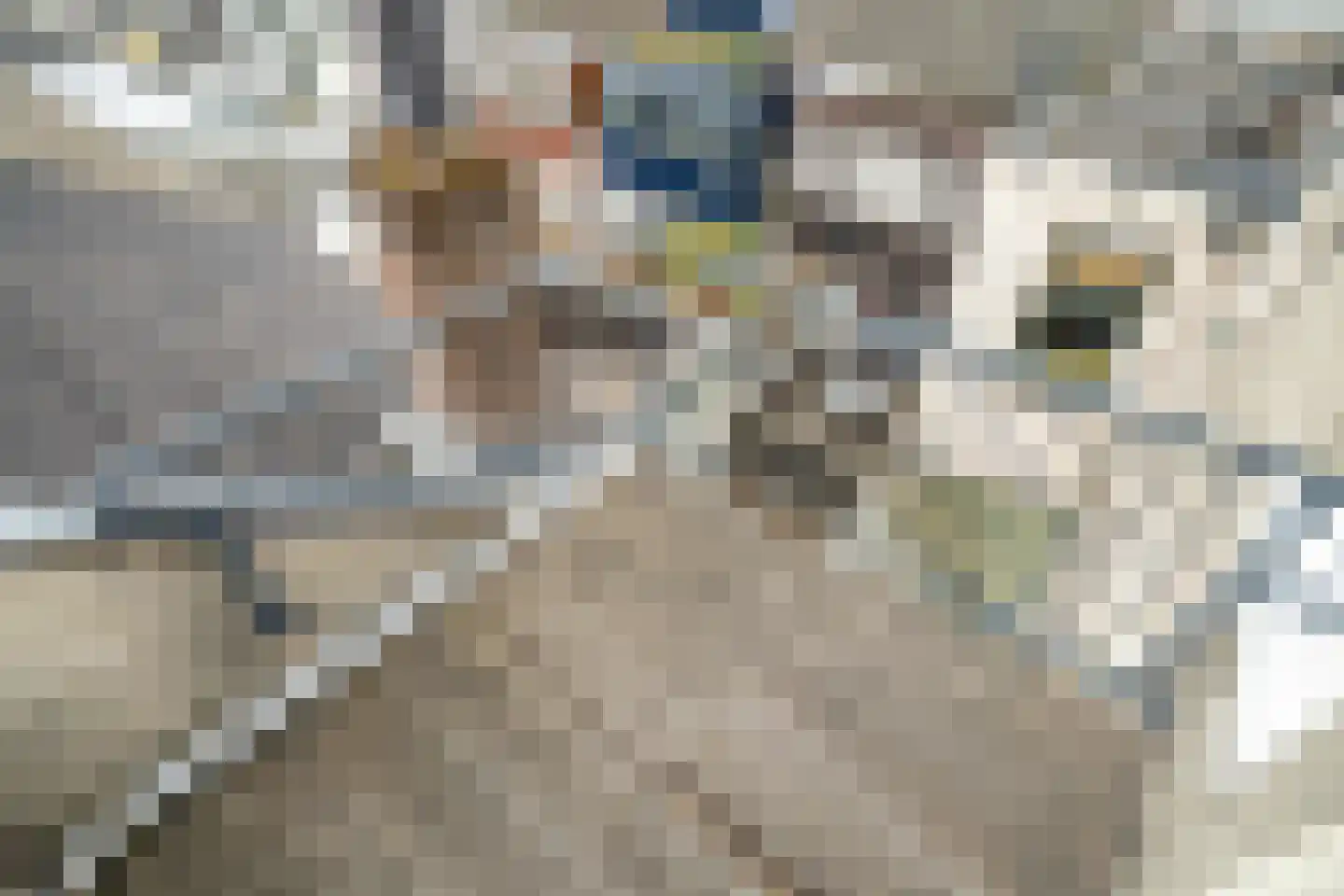 Vendelstraat 5 A Leiden thumbnail 37