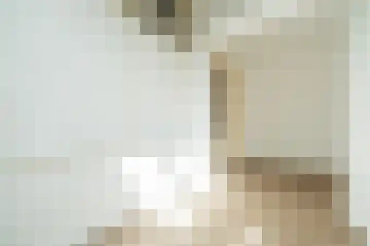 Vendelstraat 5 Leiden thumbnail 14