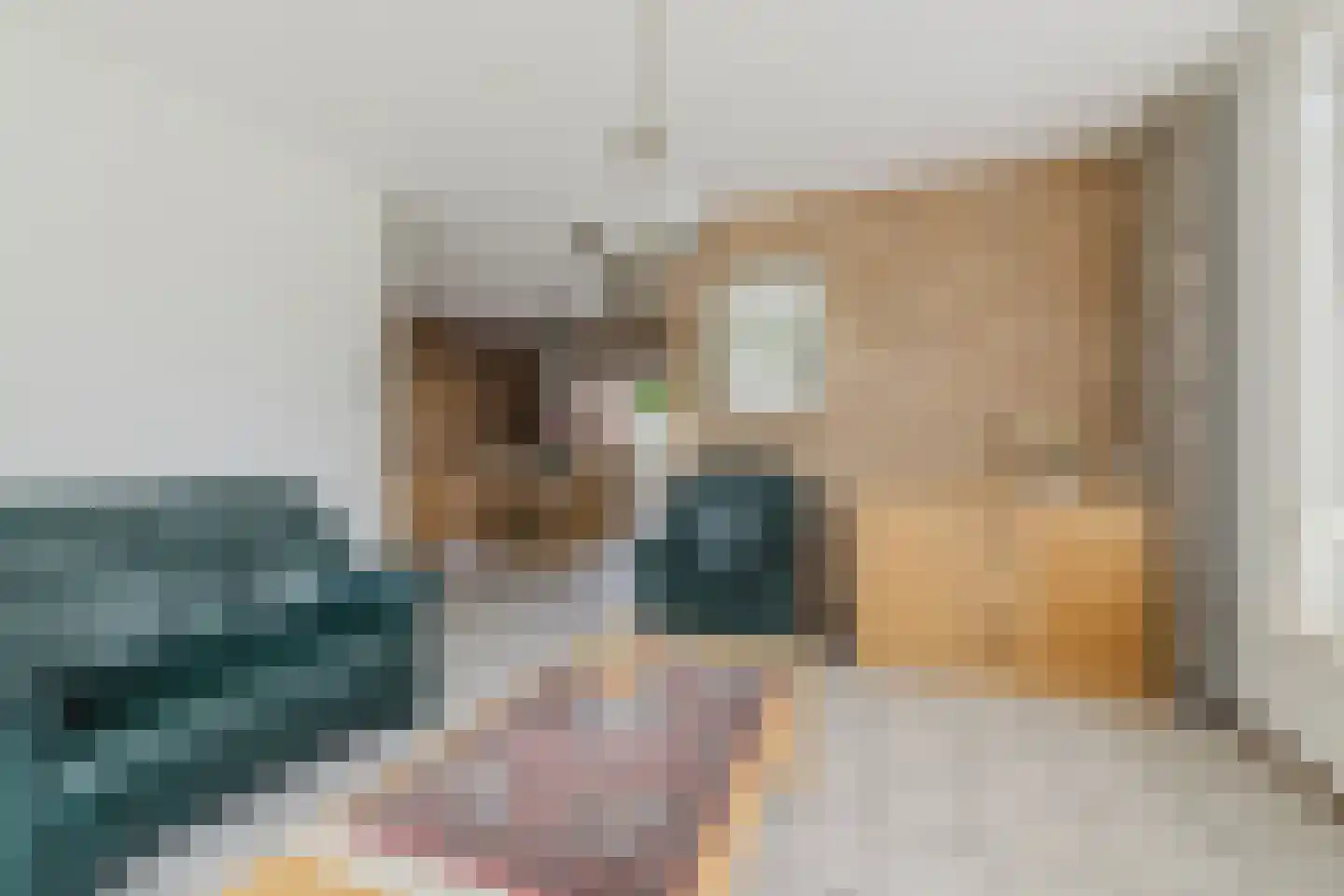 Vendelstraat 51 Liempde thumbnail 12