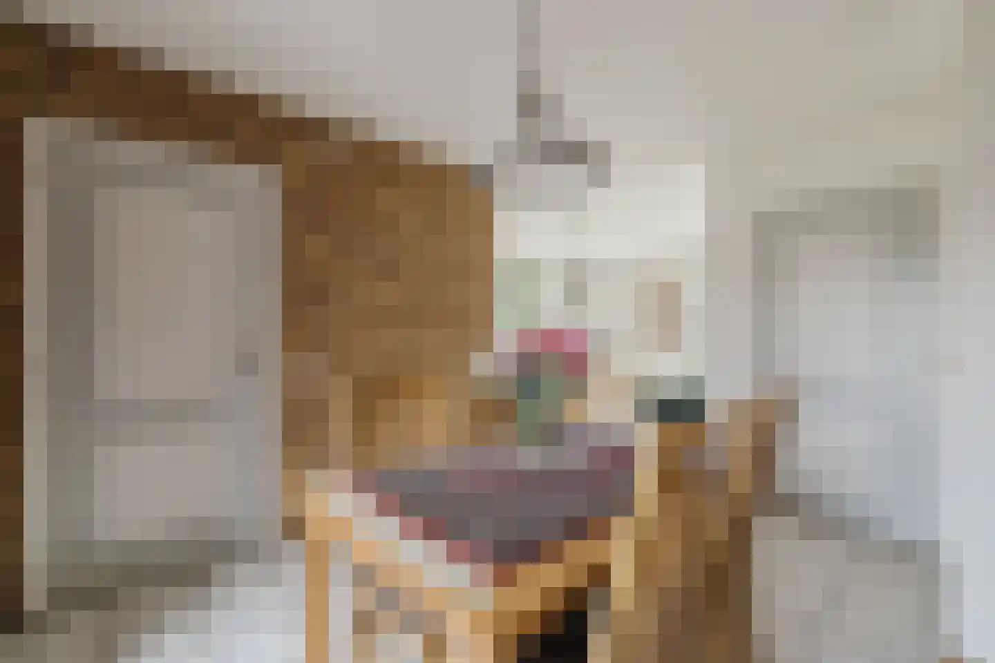 Vendelstraat 51 Liempde thumbnail 15