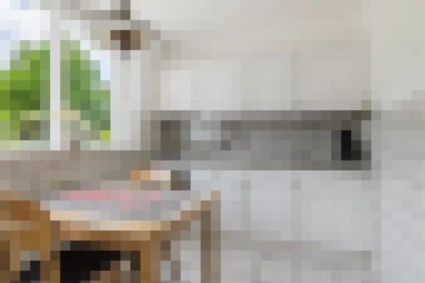 Vendelstraat 51 Liempde thumbnail 21