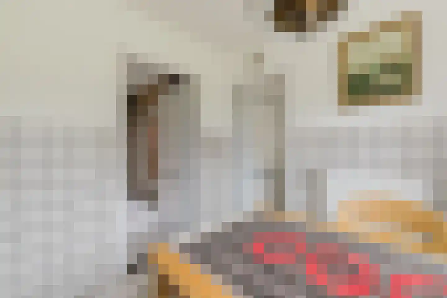 Vendelstraat 51 Liempde thumbnail 24