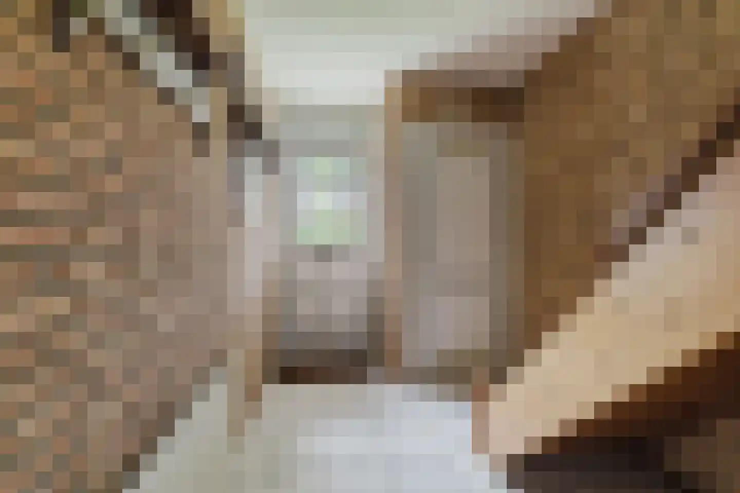 Vendelstraat 51 Liempde thumbnail 5