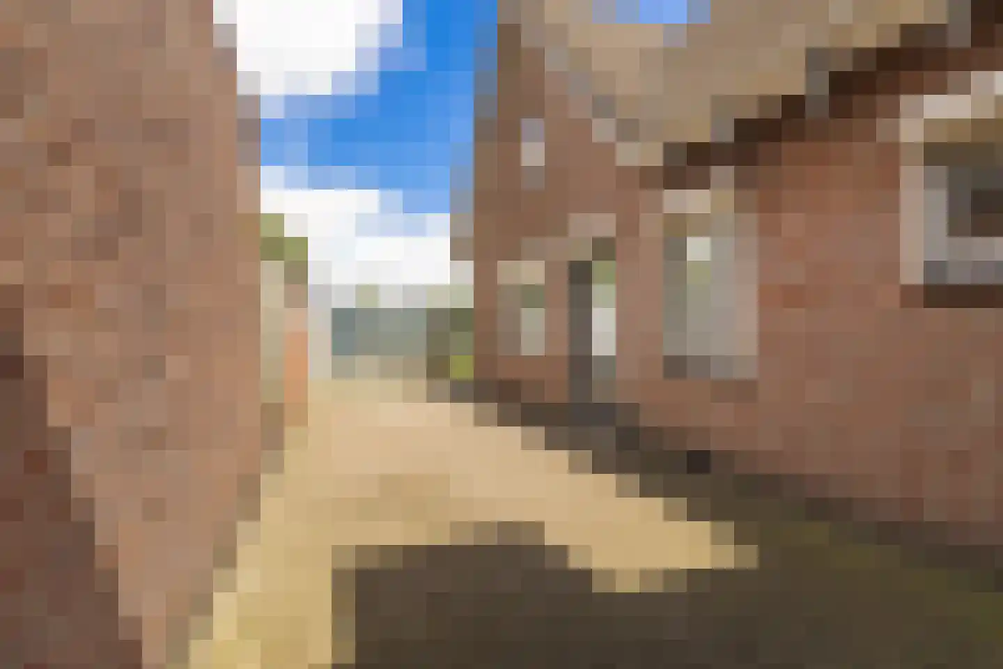 Vendelstraat 51 Liempde thumbnail 61