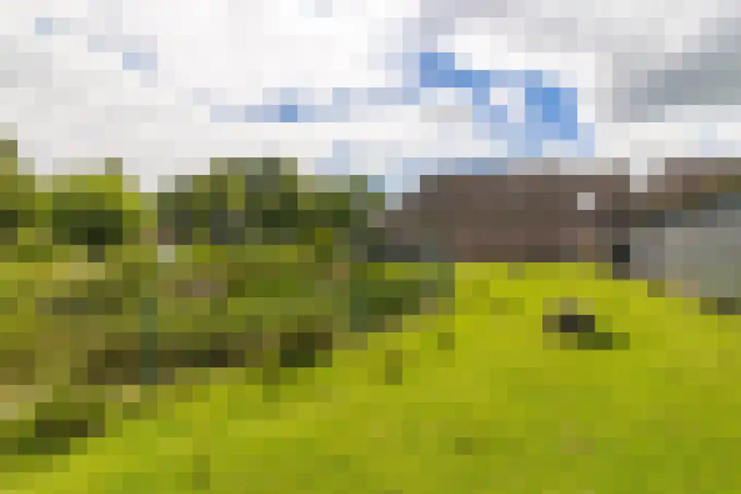 Vendelstraat 51 Liempde thumbnail 64