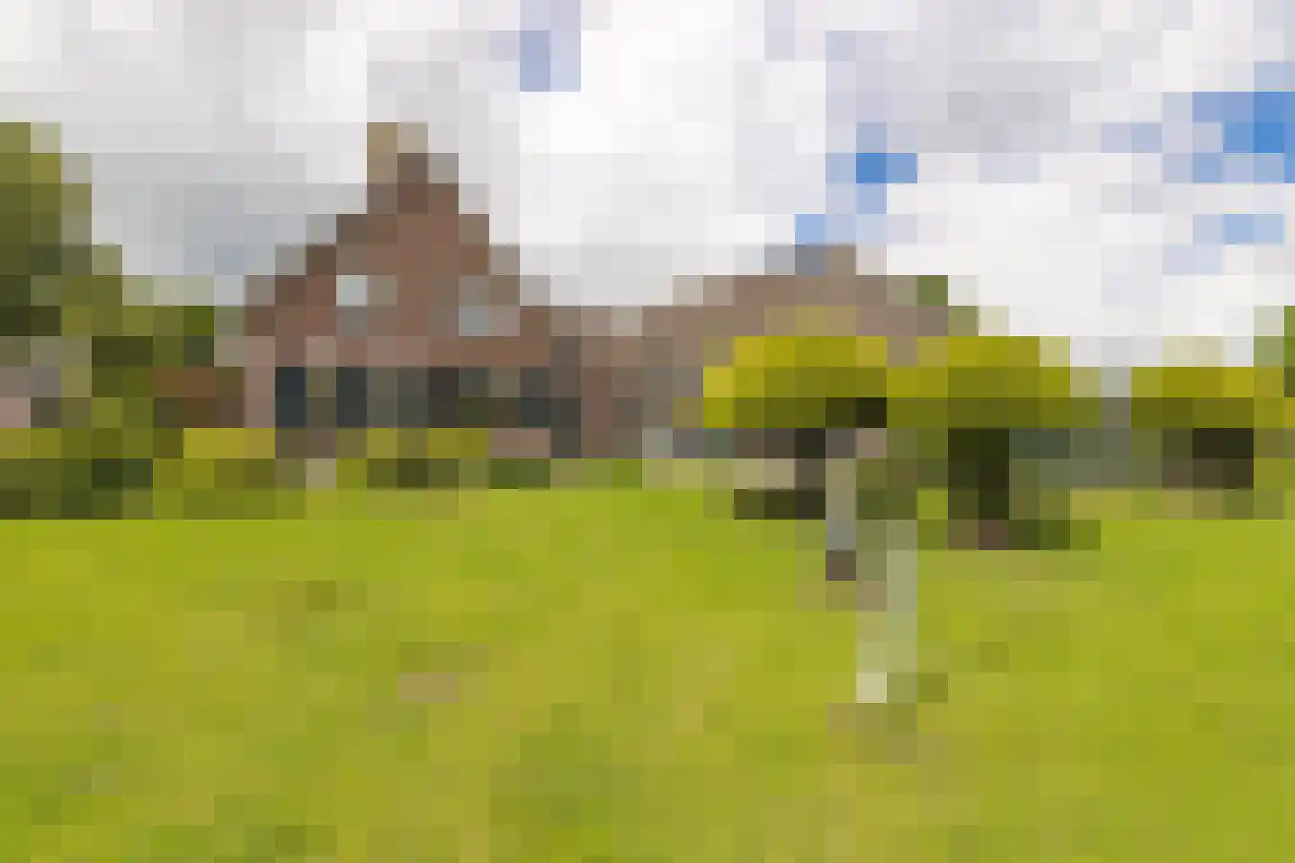Vendelstraat 51 Liempde thumbnail 66