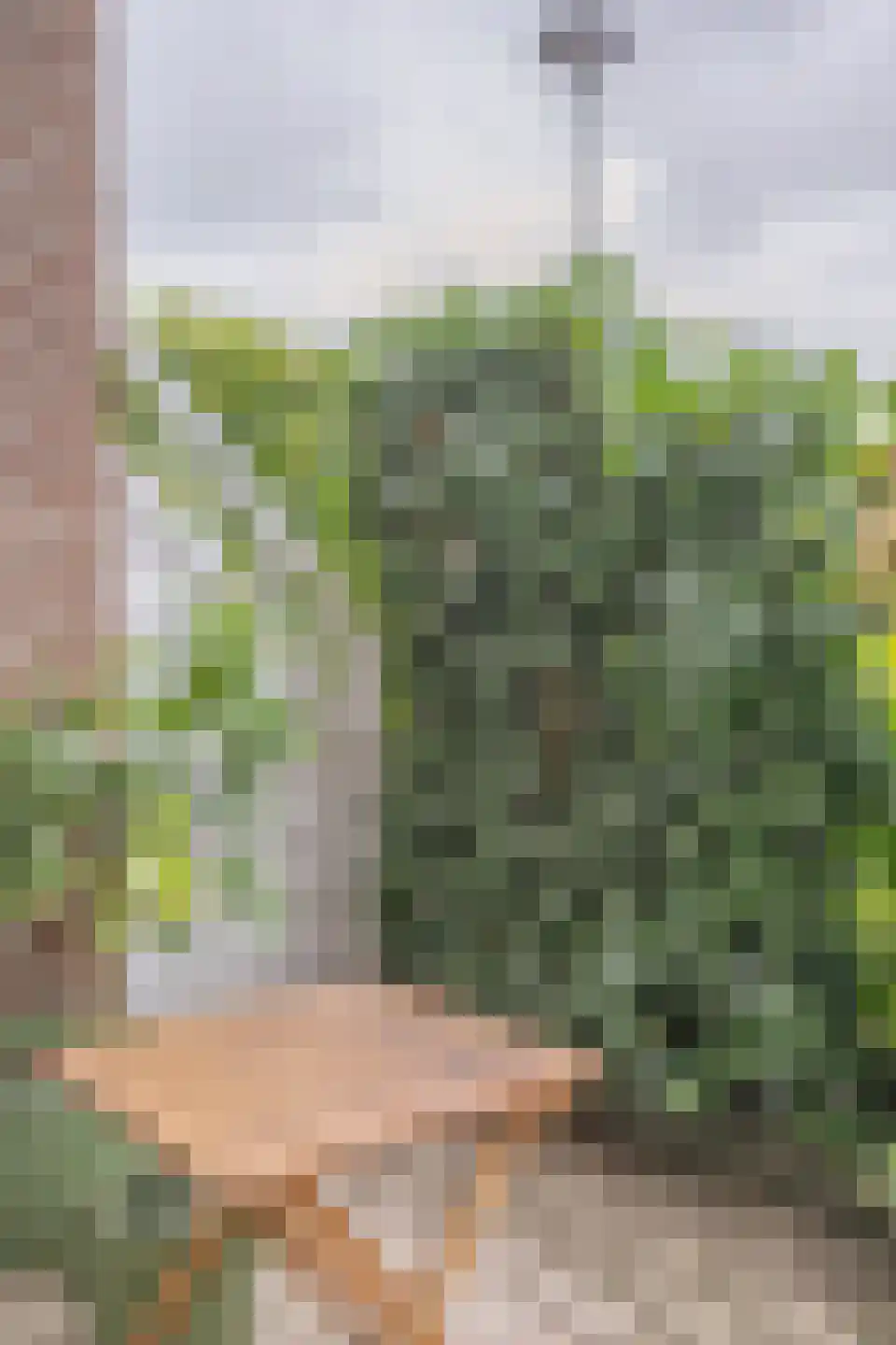 Vendelstraat 6 Cadier en Keer thumbnail 31