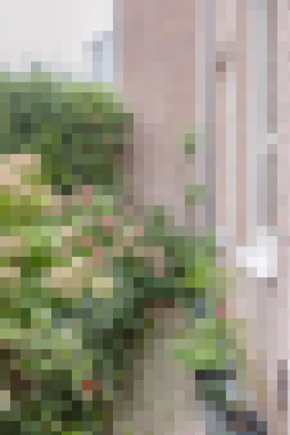 Vendelstraat 6 Cadier en Keer thumbnail 32