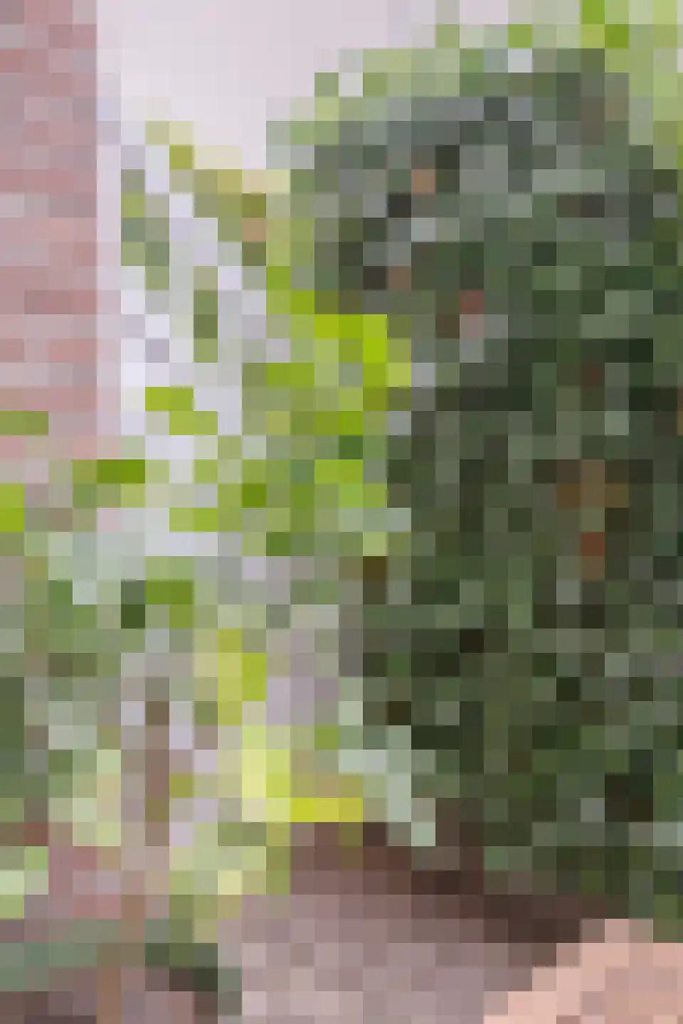 Vendelstraat 6 Cadier en Keer thumbnail 33