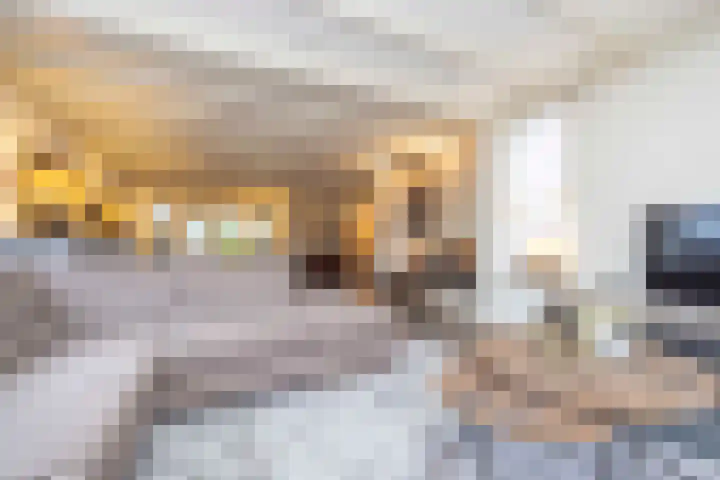 Vendelstraat 6 Helvoirt thumbnail 10