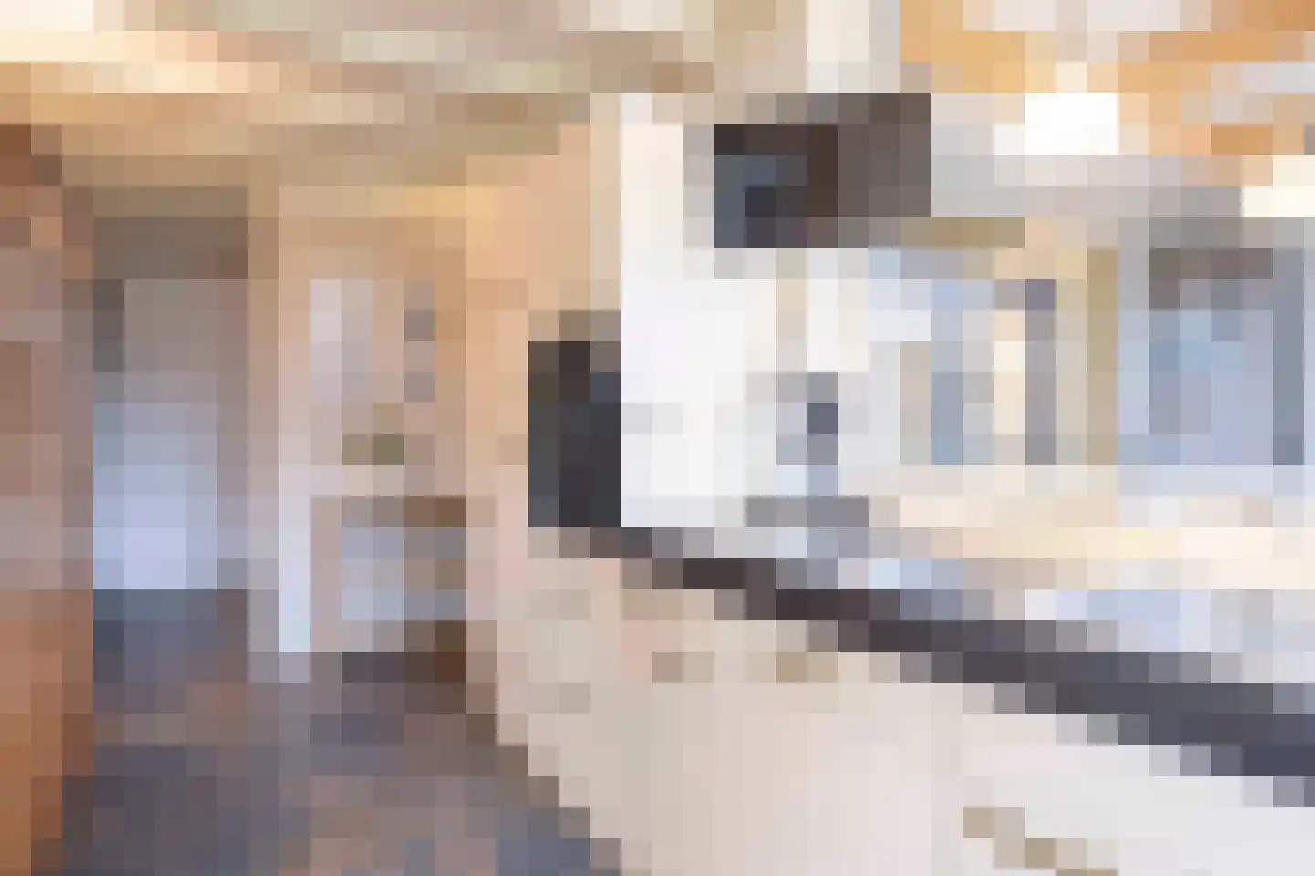 Vendelstraat 6 Helvoirt thumbnail 20