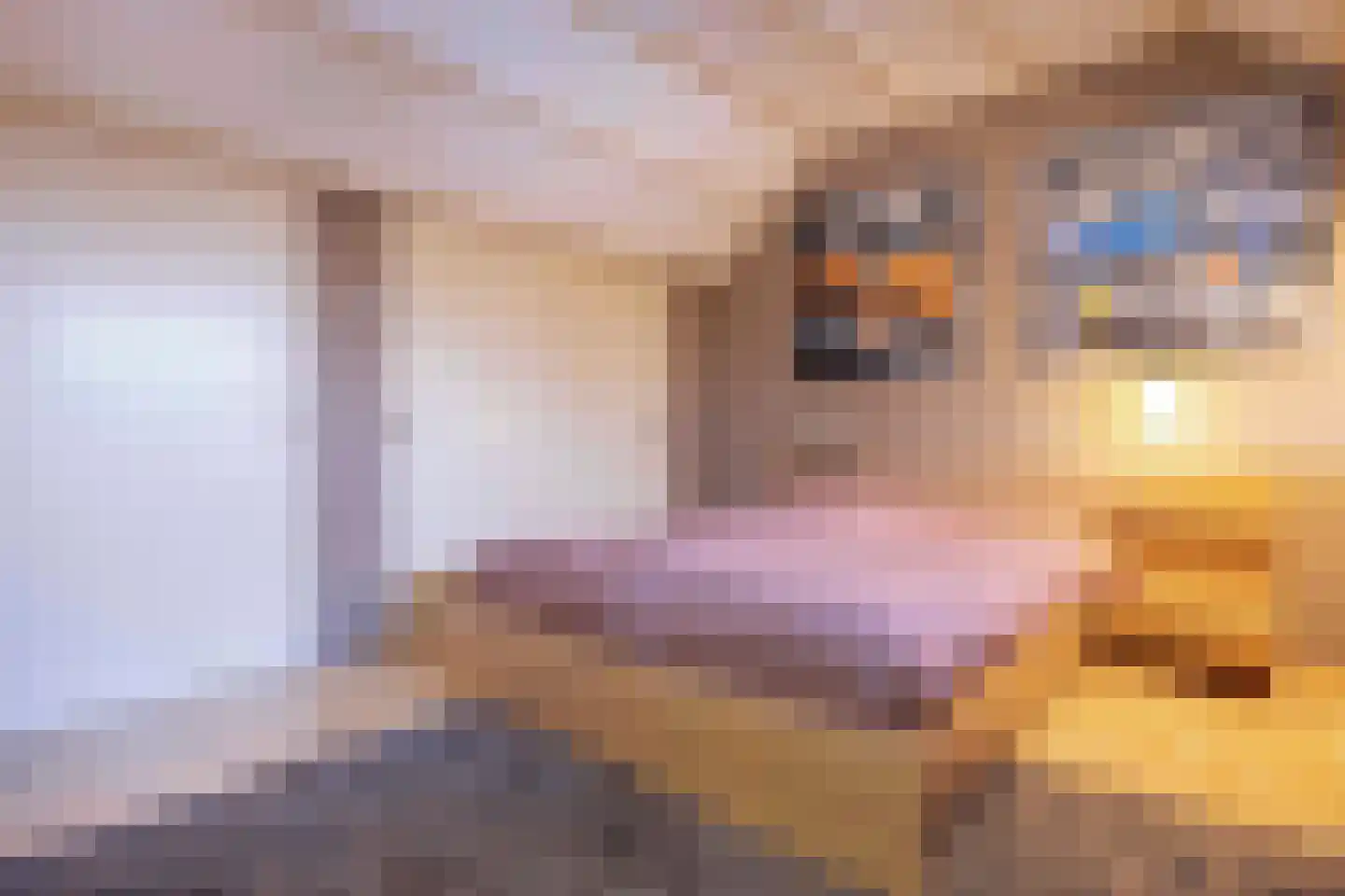 Vendelstraat 6 Helvoirt thumbnail 32