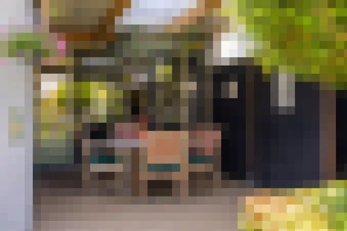 Vendelstraat 6 Helvoirt thumbnail 38