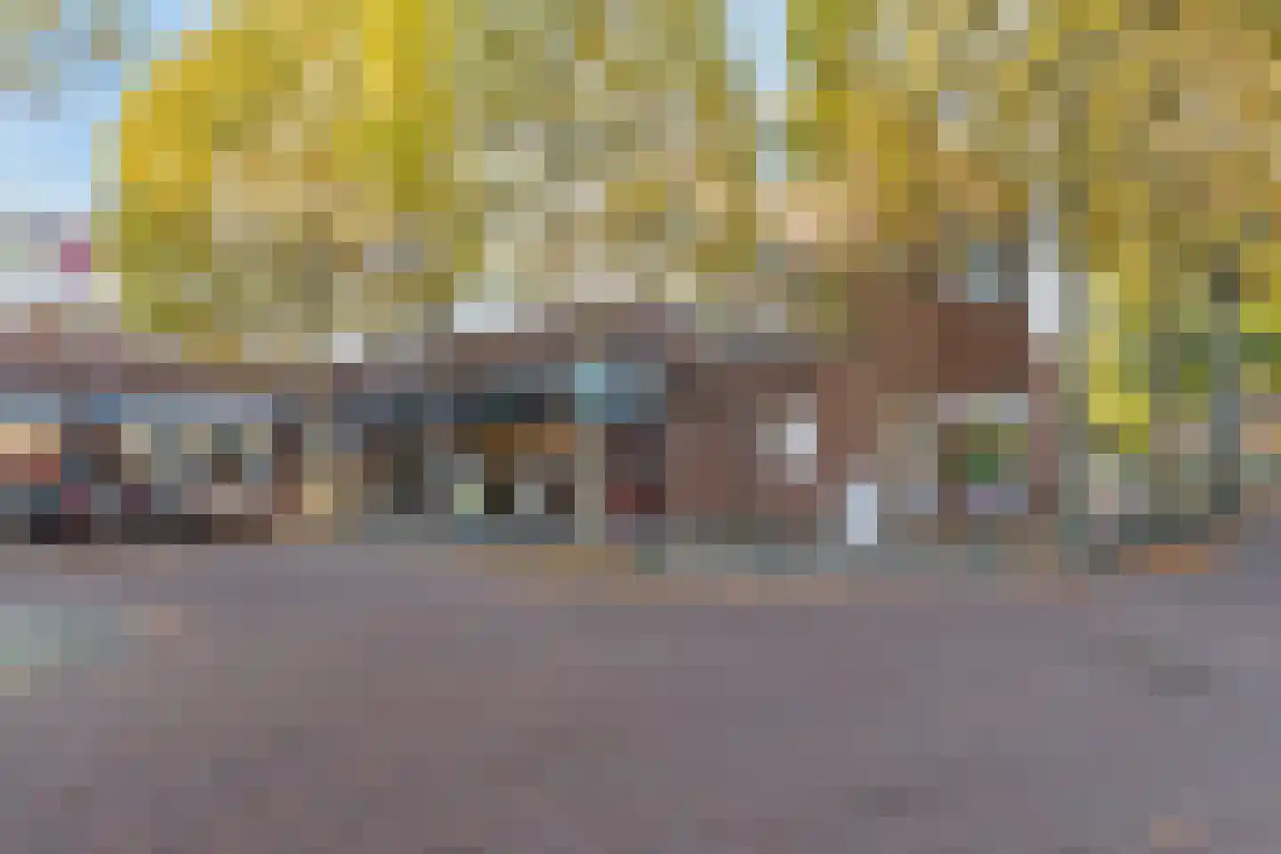 Vendelstraat 9 Waalre thumbnail 39