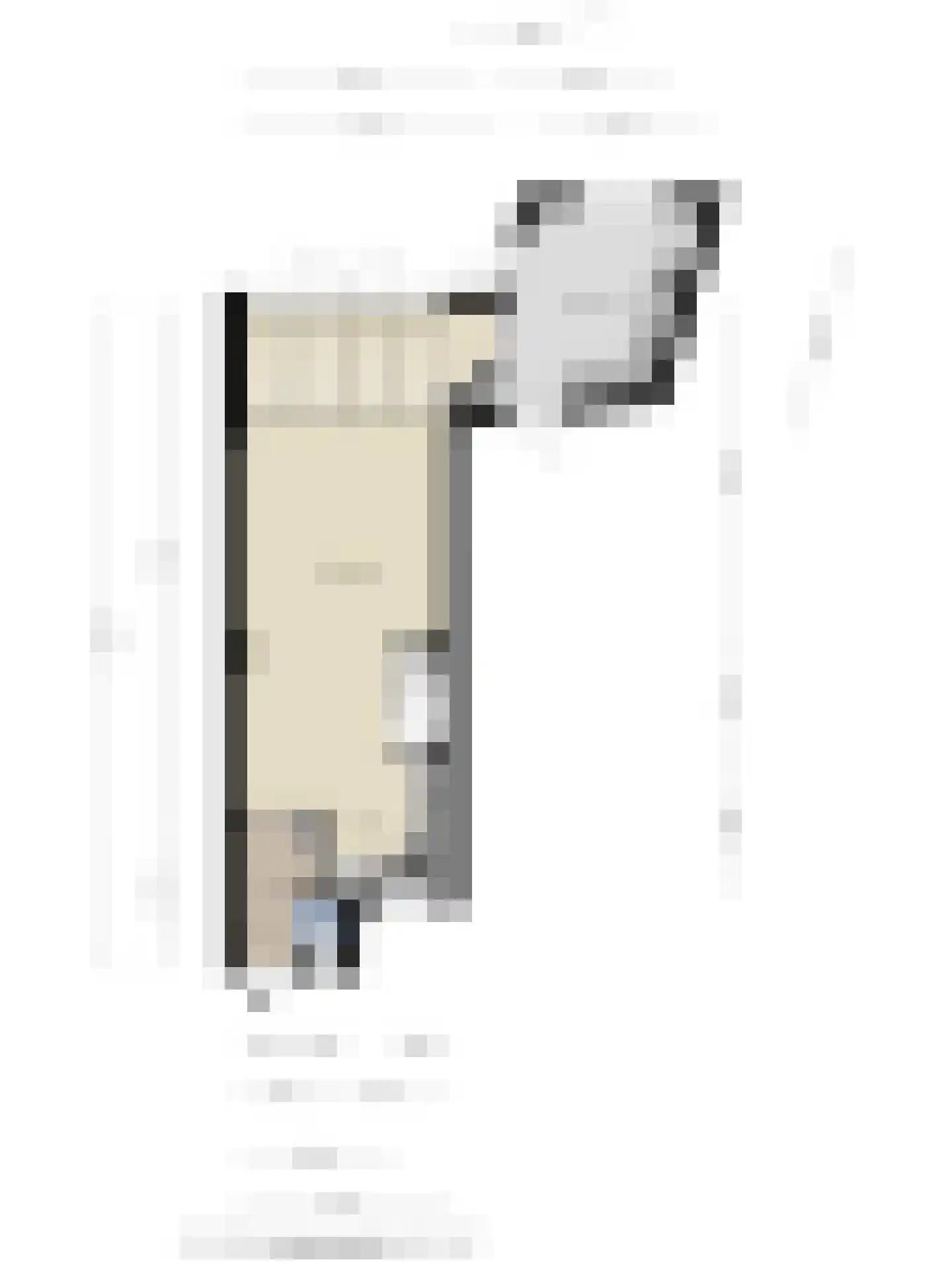 Vendelstraat 9 Waalre thumbnail 42