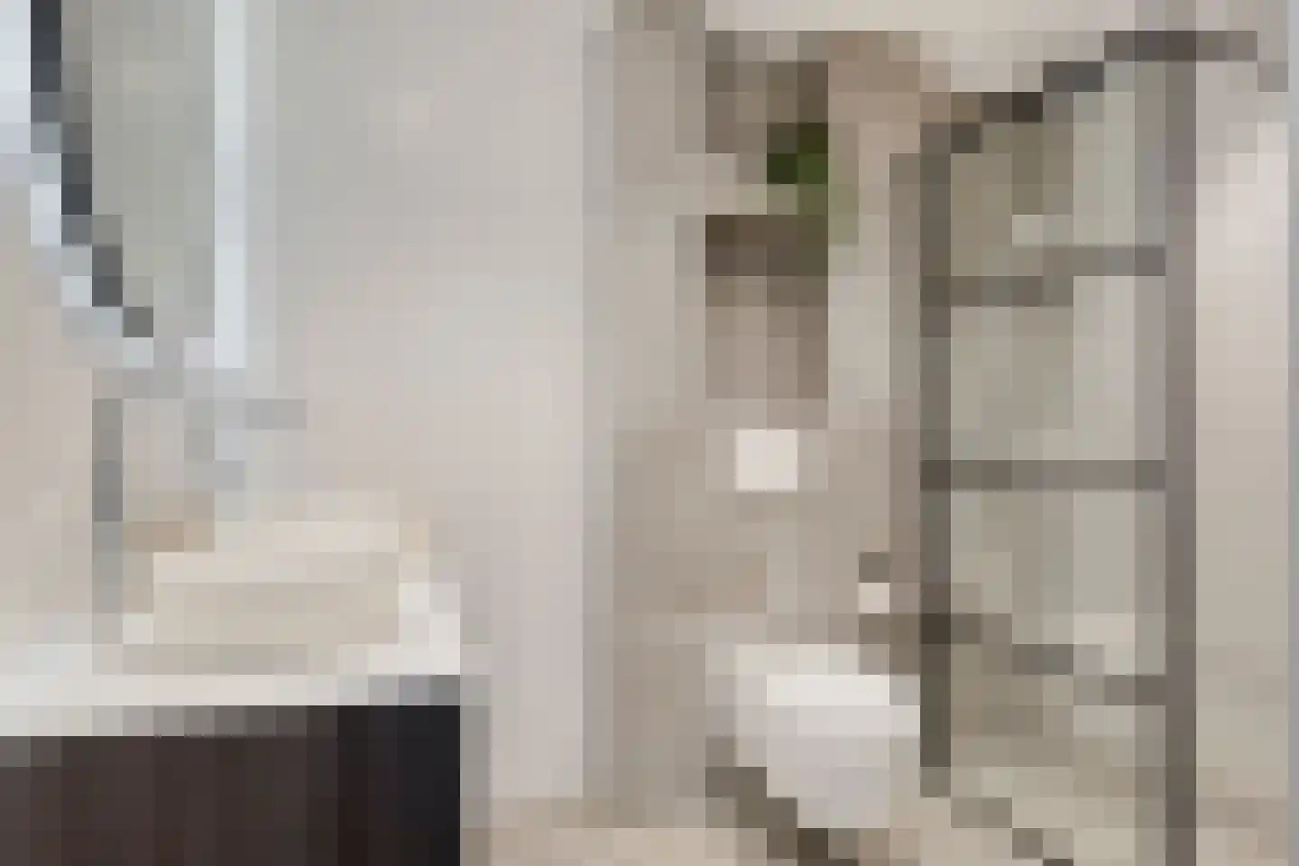 Vendelstraat 9 Waalre thumbnail 5