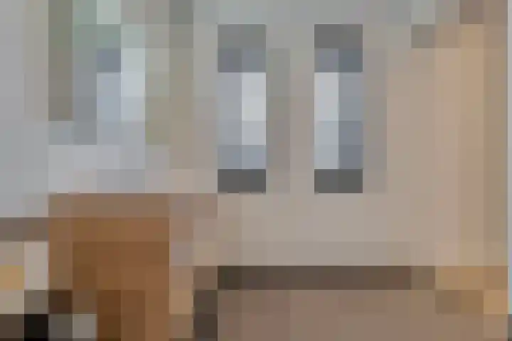 Venebrugge 14 Raalte thumbnail 45