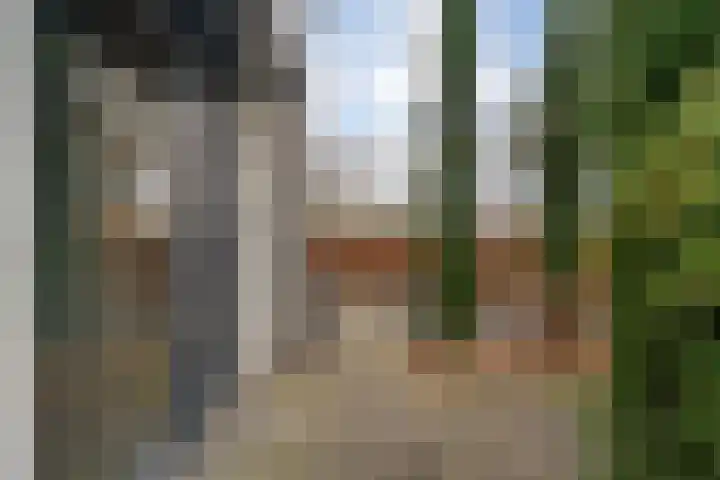 Venebrugge 14 Raalte thumbnail 5