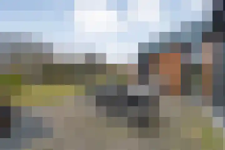 Venebrugge 14 Raalte thumbnail 59