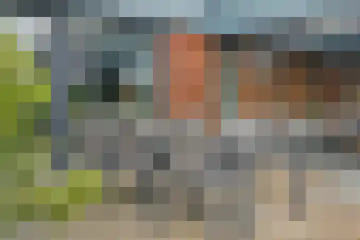 Venebrugge 14 Raalte thumbnail 65