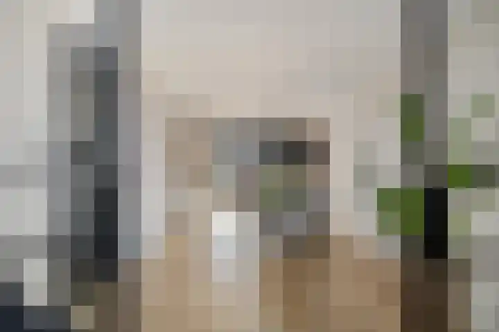 Venebrugge 5 Raalte thumbnail 14