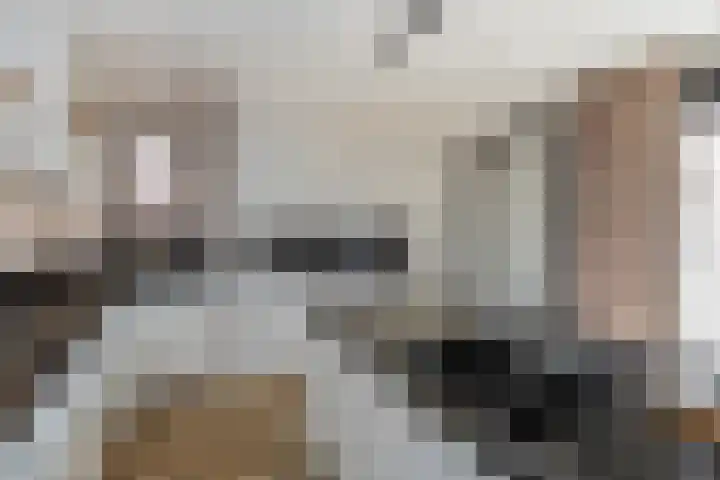 Venebrugge 5 Raalte thumbnail 18