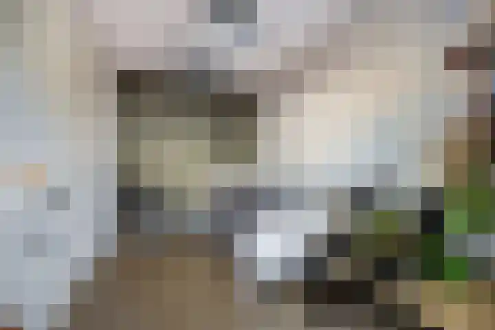 Venebrugge 5 Raalte thumbnail 26